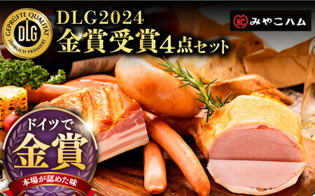 【ドイツで金賞受賞！】 DLG 2024 金賞 受賞 セット《豊前市》【みやこハム】 [VAN001] 肉 ハム ベーコン ソーセージ 贈り物 ギフト