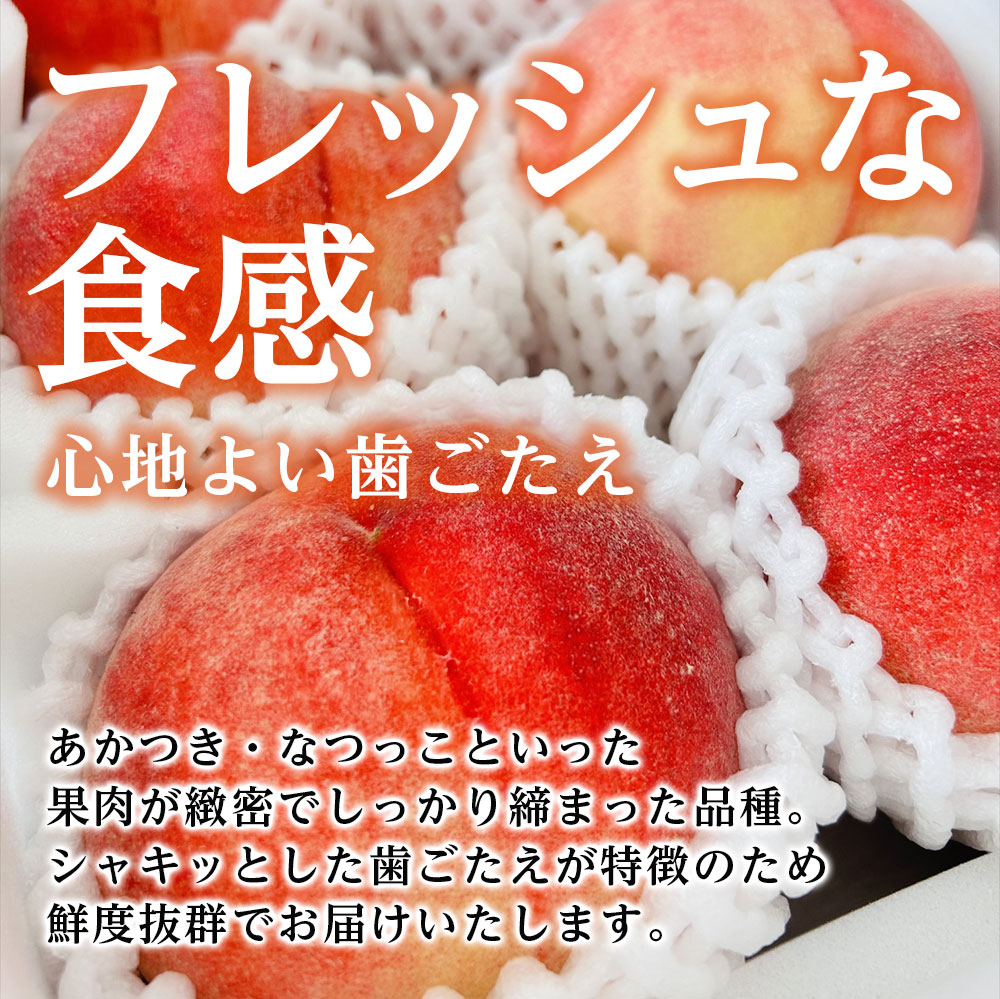 【金の蜜】アグリスタくましろの桃『あかつき』ジュース6本セット(1L×6本) 長野県 信州 南信州 高森町 ももジュース 濃厚