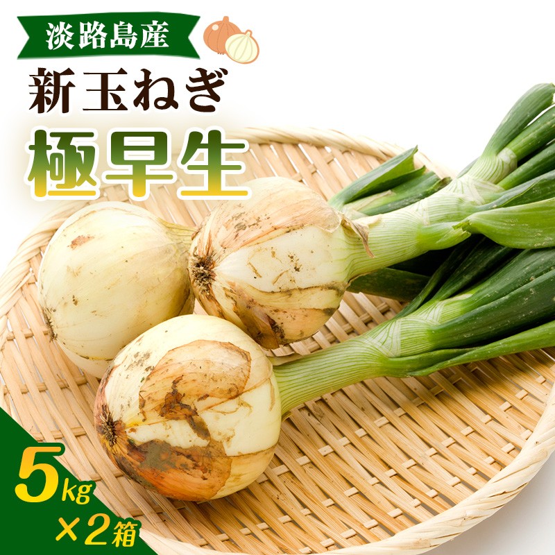
                  淡路島 新玉ねぎ 5kg × 2箱（ 計10kg ） 肉厚 極早生 玉ねぎ 新玉 タマネギ 淡路島産 5キロ 10キロ スープ ハンバーグ 肉じゃが ホイル焼き 野菜 サラダ うしろ農園 淡路 洲本市 [№5395-0461]
                