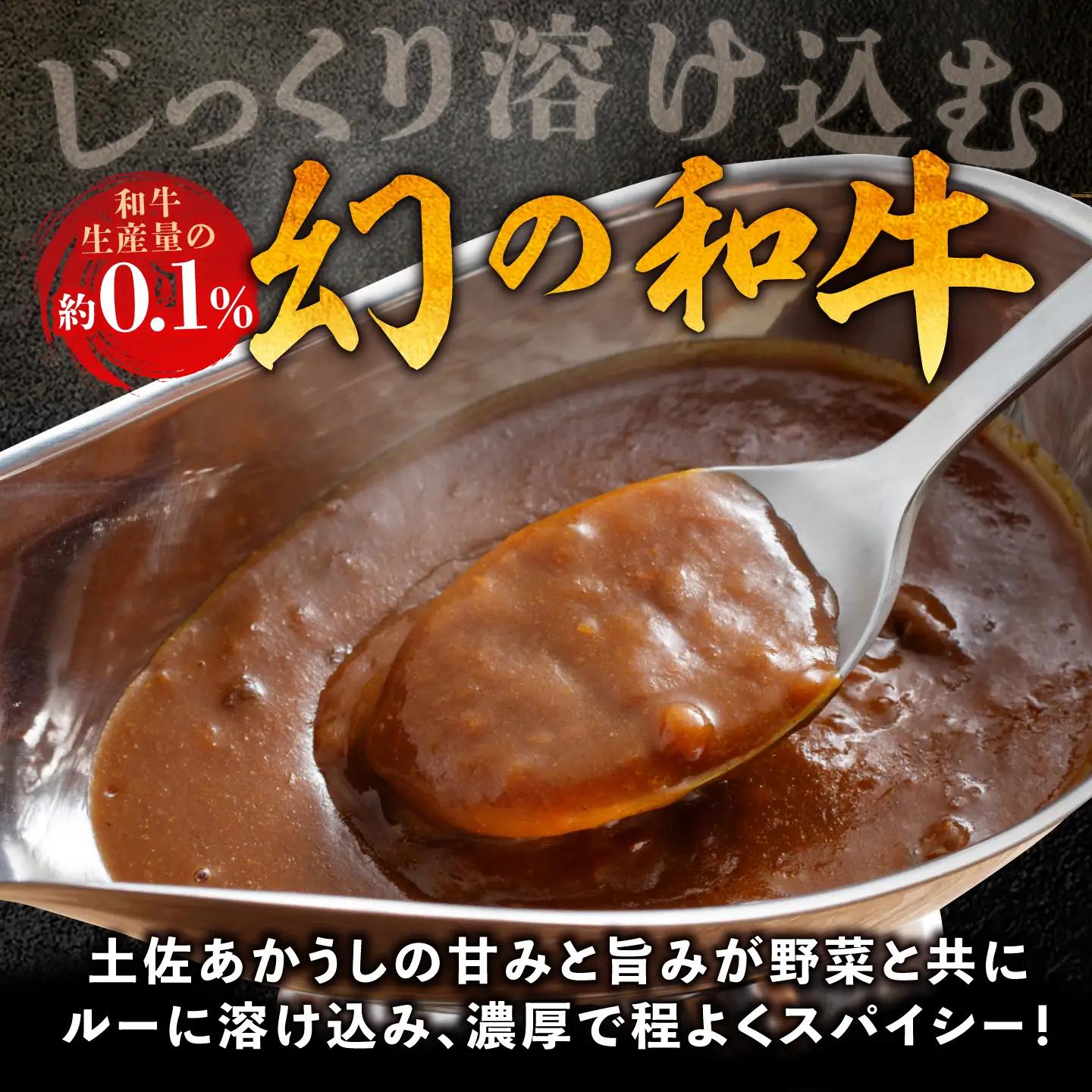 【12回定期便】高知土佐あかうしビーフカレー 10食セット/ レトルト カレー あか牛 土佐あかうし 牛肉 牛カレー 保存食 常備 人気 おすすめ 高知市 【株式会社 四国健商】[ATAF139]