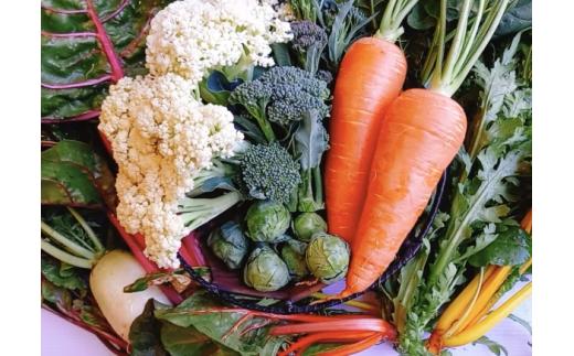 双葉農園 の”イチオシ”真冬の７種の野菜セット        (旬 野菜 とれたて当日 直送 お届け 詰め合わせ 新鮮 鍋 冬野菜 福袋 ボリューム おでん  珍しい 野菜ソムリエ チーズフォンデュ  アヒージョ 返礼品　大谷　小谷 ）007-33-1