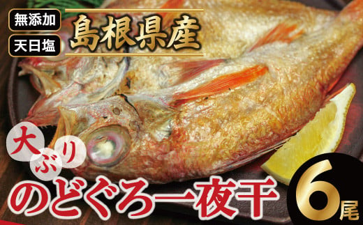 
島根県沖！大ぶり「のどぐろ一夜干し」（６尾）【1尾あたり176～200g のどぐろ干物 無添加 天日塩 魚介類 魚 ノドグロ のど黒 アカムツ 大きめ 干物 新鮮 冷凍 真空パック 父の日 母の日】
