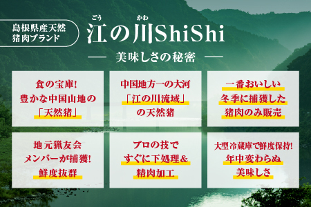 天然猪 江の川shishi 猪モモスライス 鍋用 500g （ 2～3人前 ） いのしし肉 イノシシ肉 猪肉 猪 モモ肉 スライス ジビエ 鍋 猪鍋 ぼたん鍋 AI-5