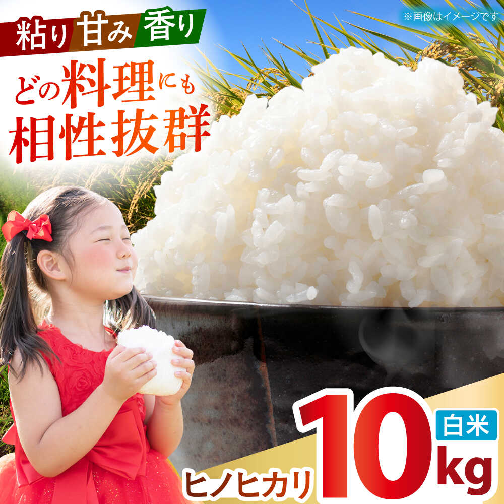 【ふるさと納税】令和7年産 ヒノヒカリ 白米 10kg 【有限会社江北商会】 新米 精米 米 おこめ[HDK001]