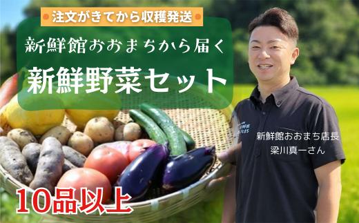【注文が来てから収穫発送！】注文が来てから収穫発送！収穫したばかりの新鮮野菜セット 《10品以上保証》 季節のお野菜 おまかせ お楽しみ 獲れたて産地直送 旬 春野菜 ベジタブル ヘルシー 健康 詰め合わせ 一関市