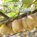 【ふるさと納税】山梨市牧丘産　キウイフルーツ(栽培期間中、農薬不使用)　1kg程度【配送不可地域：離島】【1521008】