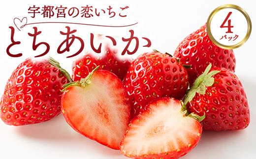 
            宇都宮の恋いちご「とちあいか」 4パック ―甘くて可愛い、愛されいちご― | 苺 イチゴ 果物 フルーツ 栃木県 宇都宮市 ※2025年12月中旬～2026年3月下旬頃に順次発送予定
          