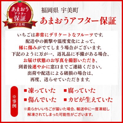 【11月下旬より順次発送】【宇美】博多名物「あまおう」＆ふくや「味の明太子」(ギフト箱)【配送不可地域：離島】