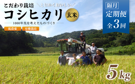 【R7年産 新米先行予約】 【定期便3回隔月お届け】有機栽培コシヒカリ玄米 5kg×3回(隔月) 低農薬 隔月お届け  玄米