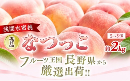 
                  【オンライン決済限定】【2026年8月中旬～発送予定】 先行予約 「浅間水蜜桃プレミアム」 もも なつっこ 秀品 約2kg 5～9玉 贈答品 ふるさと納税 果物 桃 フルーツ モモ 果肉  長野県産 小諸市 
                