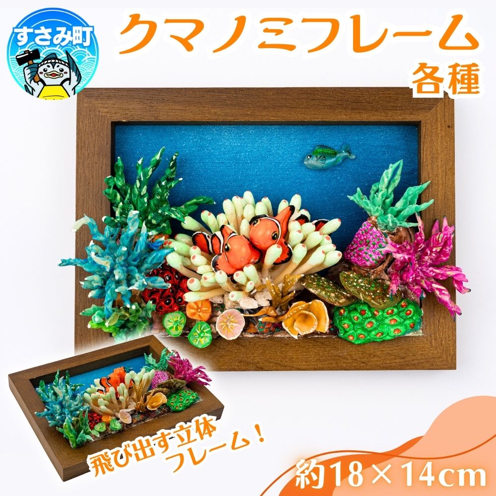 【ふるさと納税】クマノミ各種　フレーム / 魚 さかな フィッシュ 釣り 海 うみ クマノミ 海水魚 海の生き物 鍵 かぎ 家 車 自転車 かわいい お土産 雑貨 思い出 プレゼント ギフト すさみ