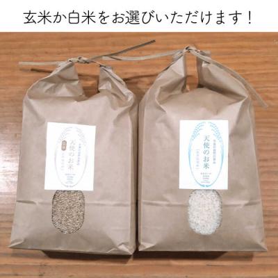 ふるさと納税 糸島市 自然栽培 ヒノヒカリ 5kg 糸島市/大石ファーム [ATE001] |  | 01