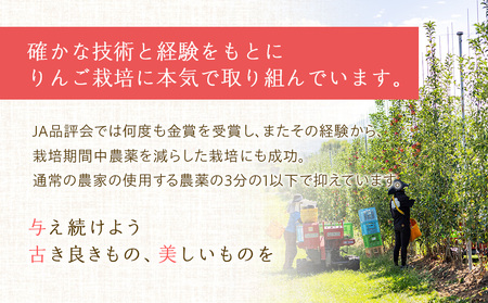 【2024年】信州の梨 品種おまかせ 約3kg フルーツ 果物 デザート なし ナシ 産地直送 長野県 信州産