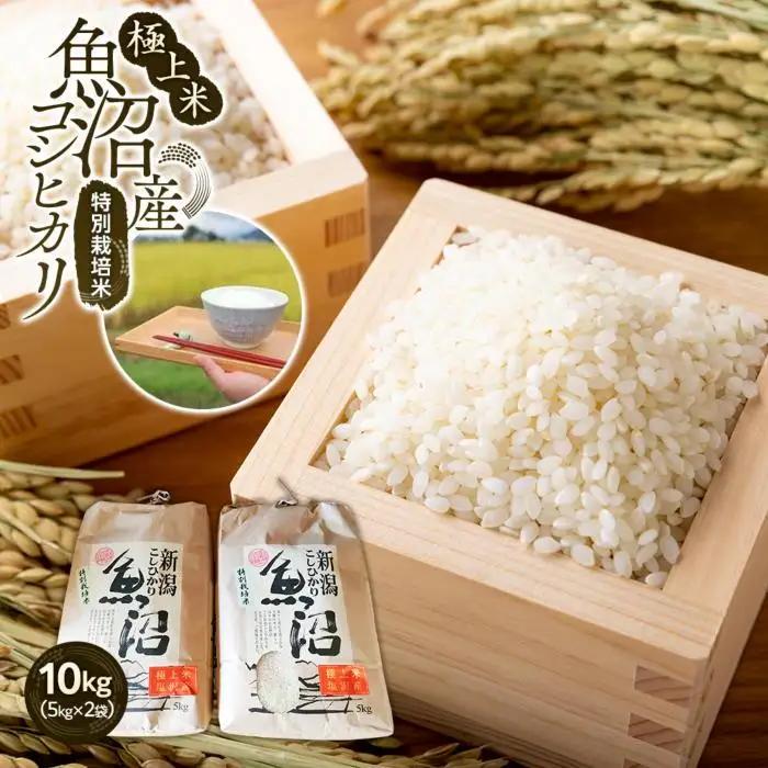 【令和8年　新米】極上米魚沼産コシヒカリ特別栽培米１０kg(５kg×２) | コシヒカリ