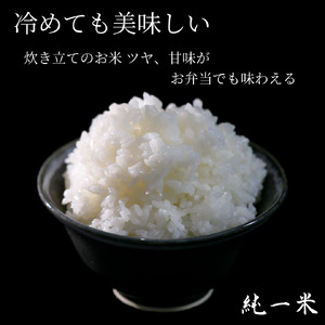 定期便6回【令和７年産】丹波篠山産 コシヒカリ 10kg（5kg×2袋） DS04