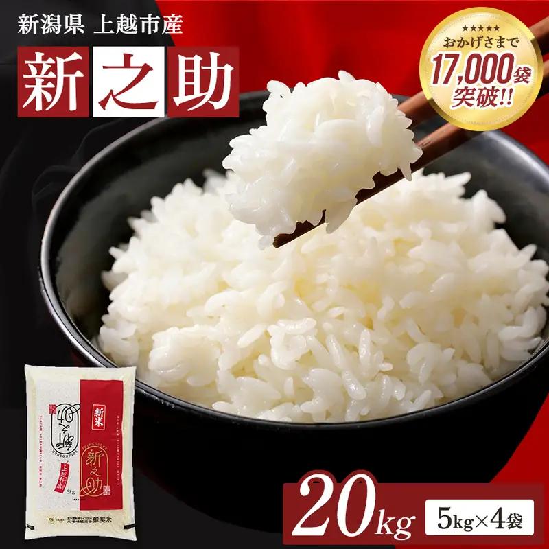 【先行予約】新之助 無洗米 上越産 20kg 精米 新之助