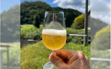 蒜山産クラフトビール 375ml×4本セット / 地ビール 蒜山 お酒 ひるぜん お取り寄せ 岡山県 真庭市【tmizu001-01】