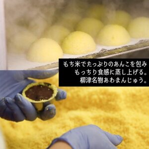 【受け継がれる味】柳津名物あわまんじゅう　6個入り【冷凍】【配送不可地域：離島】【1646602】