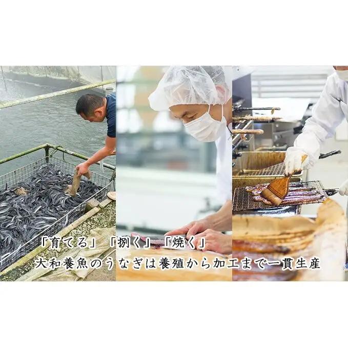 うなぎ 浜松 ウナギ 蒲焼 120g × 4尾 （計480g） 国産 浜名湖 国産うなぎ うなぎの蒲焼 土用の丑の日 丑の日 魚 魚介 魚介類 惣菜 おかず おつまみ つまみ 丼 小分け セット 鰻 