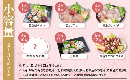 刺身 定期便 6ヶ月 小容量 コース 小島水産 がお届けする！ 美味しい お刺身 ( 鮮魚 下処理済 ) 産地直送 半年 新鮮 6回 （ ブリ かつおタタキ タイ カンパチ 鰤 鰹 真鯛 環八 魚 海