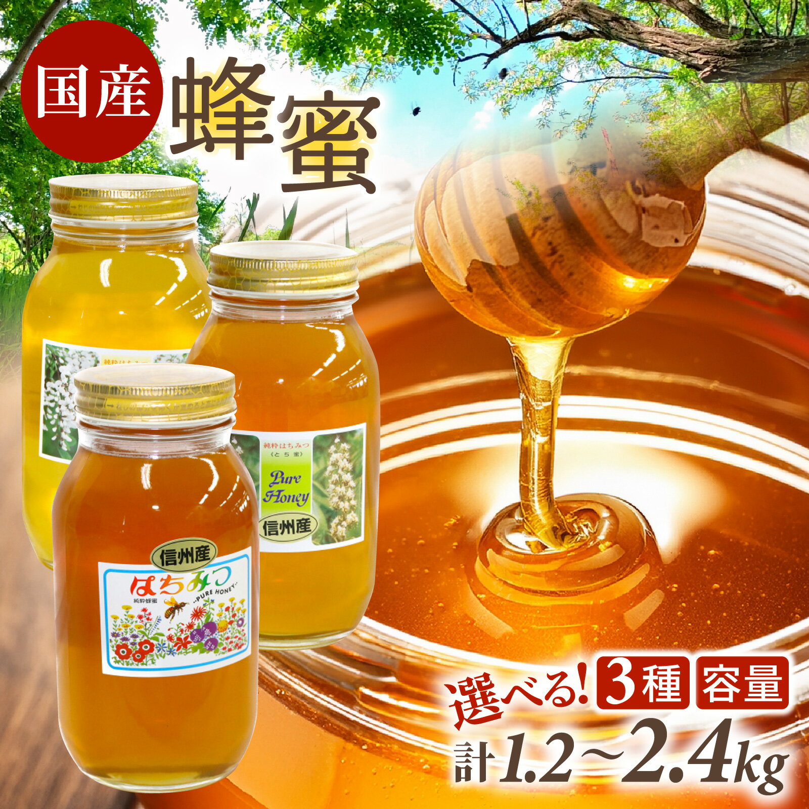 【ふるさと納税】はちみつ 国産 信州産 種類が選べる 百花 トチ アカシア 百花蜜 トチ蜜 アカシア蜜 1kg以上 ハチミツ 大容量 1.2kg 2.4kg 純粋はちみつ 送料無料 楽天ふるさと納税