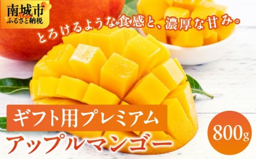 
            【2026年発送・先行予約】＜贈答用向け＞アップルマンゴー　約800g（化粧箱）
          