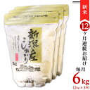 【ふるさと納税】令和6年 新米 米 定期便 6kg 2kg×3袋 12ヶ月 新潟こしひかり 白米 K612【12ヶ月連続お届け】新潟県産コシヒカリ6kg（2kg×3袋）