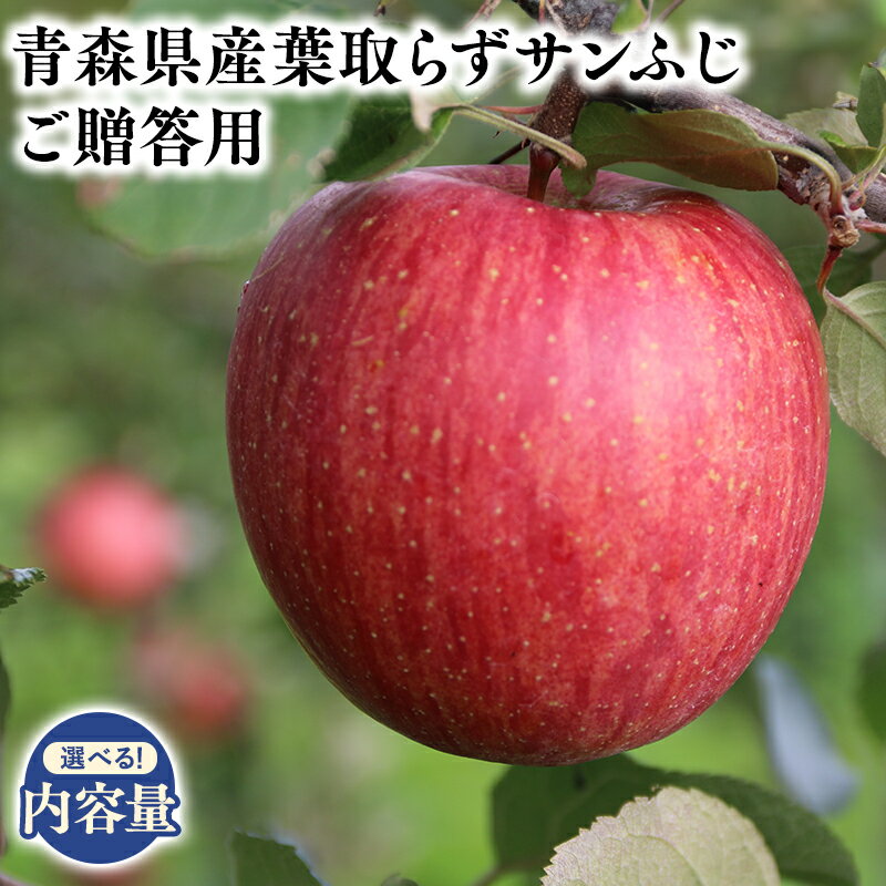 【ふるさと納税】≪内容量が選べる!≫青森県産 贈答用 葉とらずサンふじ 3kg 5kg 【青森県 平川市 そと川りんご園】2025年5～6月発送!　贈答 青森 青森県産 平川 葉とらず サンふじ ふじ りんご リンゴ 林檎 くだもの 果物 フルーツ レビューキャンペーン
