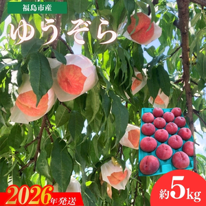 No.3267 安斎果樹園 福島のもも 「ゆうぞら」 約5kg（16玉～18玉）【2026年発送】