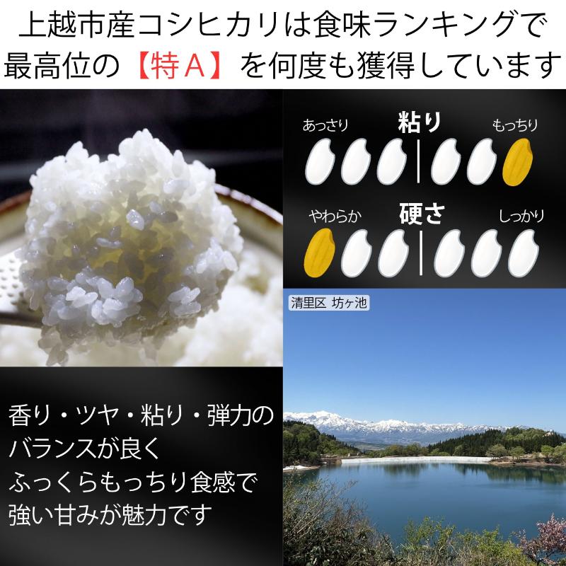 新米 令和7年 新潟県産 コシヒカリ 5kg 5キロ 上越市 清里産 星の里米 TY GREEN 白米 精米 送料無料  2025年10月上旬より順次発送