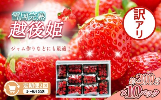 
                  先行予約  定期便 2回【5～6月発送】訳あり越後姫 約200g×10定期配送 越後姫 えちごひめ 苺 いちご 訳あり 新潟 苺の花ことば
                