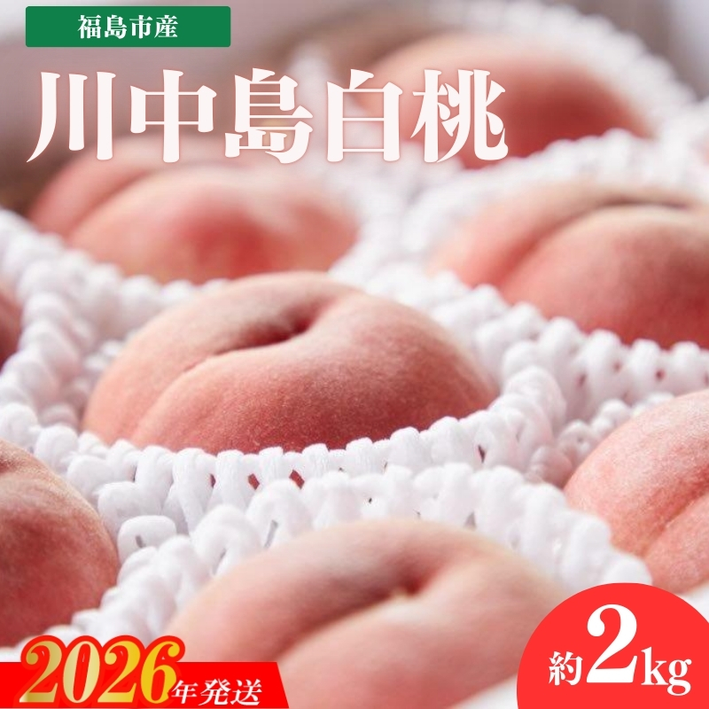 No.2723福島市産　川中島白桃　約2kg【2026年発送】