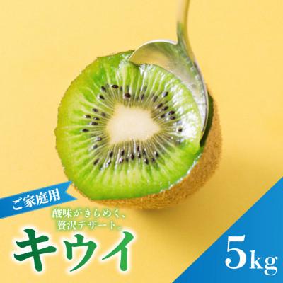 ふるさと納税 松山市 【先行予約】2026年10月下旬より発送 キウイフルーツ ヘイワード約5kg 家庭用 訳あり