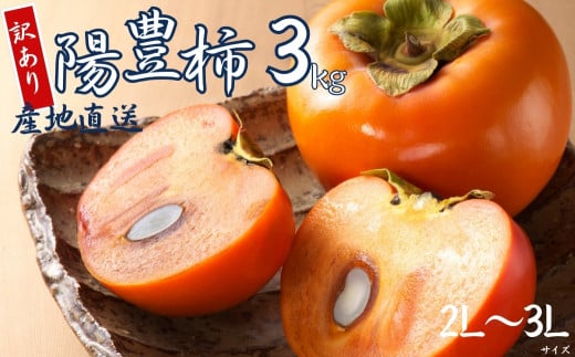 【 訳あり 】令和6年産 陽豊柿 3kg ( 2L~ 3L ) 10-12個 カキ かき 果物 くだもの フルーツ サイズ不揃い 表面 キズ 色ムラ 家庭用規格 のため 訳アリ わけあり 自宅用 家庭
