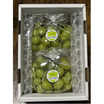 【ふるさと納税】訳アリ　家庭用　糖度18度以上　つみ落としシャインマスカット 計1キロ以上【配送不可地域：離島】【1710270】