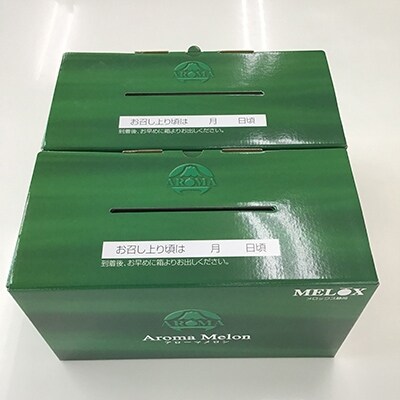 静岡県産　高級アローマメロン　山級約 1.4kg×4玉 ( 2玉×2箱 )【配送不可地域：離島・北海道・沖縄県】