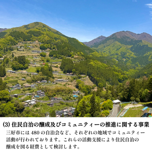 【 返礼品なし 500,000円 寄附 】 徳島県 三好市 への 寄附 応援寄附金