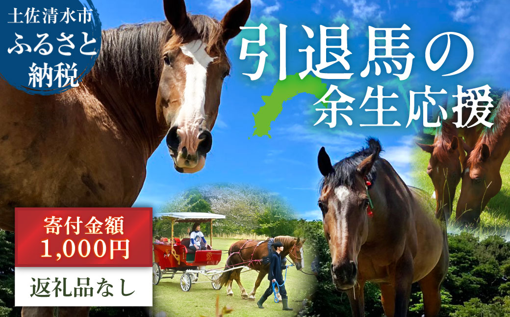 引退馬 余生支援 1,000円コース 返礼品なし 養老馬 競走馬 引退競走馬 馬支援 競馬 馬 うま ウマ 馬支援 動物 あしずりダディー牧場 高知県 土佐清水市【R01528】