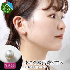 R14107　あこや本真珠ピアス 真珠7.5mm 14Kホワイトゴールド