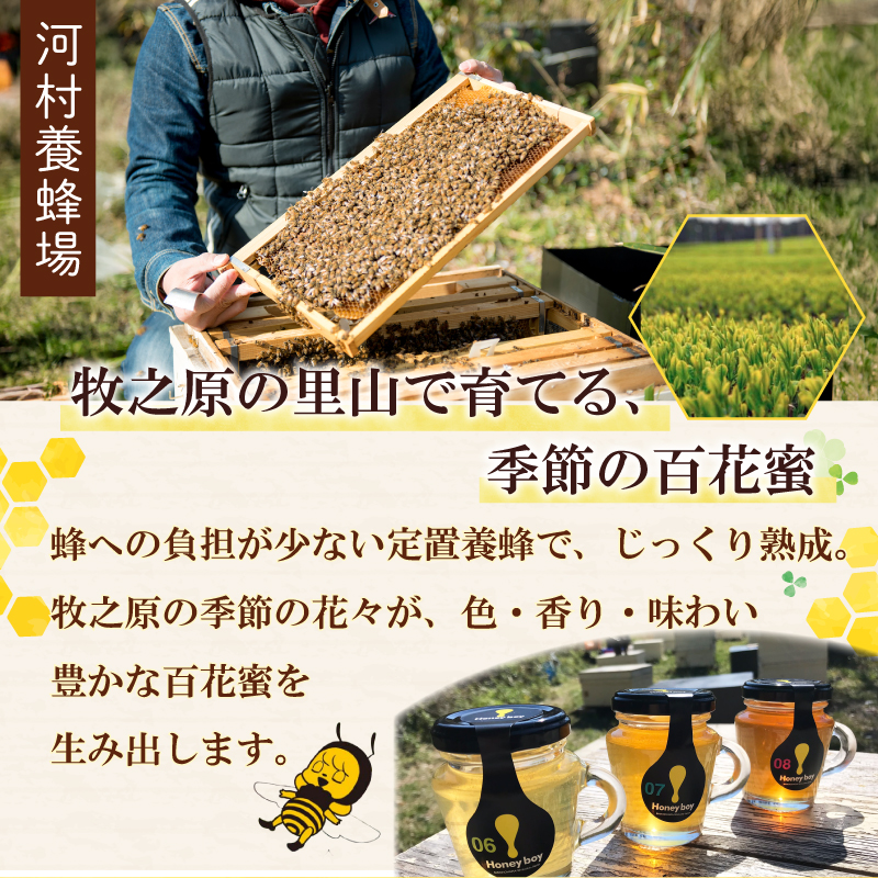 【国産】 Honeyboyシリーズ 2個   ふじのくに 新商品 コレクション 最高 金賞 受賞 ハチミツ 蜂蜜  国産 百花蜜 ギフト 贈答品 高糖度 保存食 母の日 安心 安全 非加熱 蜜 天然 