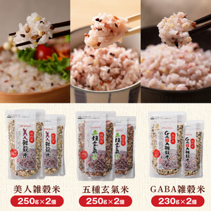 【隔月6回　定期便】国内産 雑穀米3種詰め合わせ （GABA雑穀米・美人雑穀米・五種玄氣雑穀米　各2個）_米 雑穀米 おいしい 3種 6パック 詰め合わせ セット 1460g 隔月 定期便 6回 国内