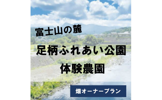 足柄ふれあい公園 体験農園 畑オーナープラン（12か月）│ 農園 体験 公園 利用券 体験チケット 体験型 静岡県 小山町