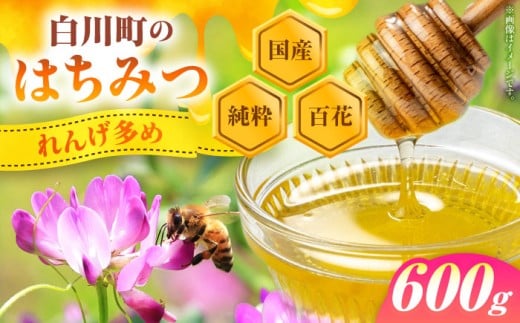 はちみつ 純粋百花はちみつ 600g 1瓶 / 蜂蜜 ハチミツ ハニー 国産 パン トースト ヨーグルト honey 岐阜 みつばち 蜜蜂 ミツバチ 健康 美容 朝食 蓮華 レンゲ れんげ 百花 免疫力 向上 風邪予防 美味しい おいしい ギフト プレゼント 人気 おすすめ 瓶詰め 天然 純粋 日本産 料理 紅茶 スイーツ 調味料 手土産 贅沢 濃厚 白川町 / 白川町農業開発[AWAH007]