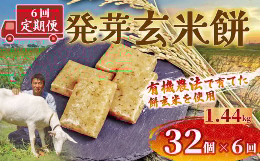 発芽 玄米 餅 定期便 6回 32個 1.44kg 個包装 連続 お届け おもち 国産 備蓄 防災 レンジ オーブン 簡単調理 有機 不耕起栽培 健康 食品 埼玉県 羽生市 雨読晴耕村舎