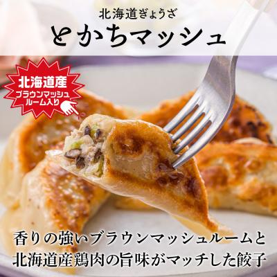 ふるさと納税 千歳市 天のびろく餃子お徳用2種セット(580g×2) |  | 02