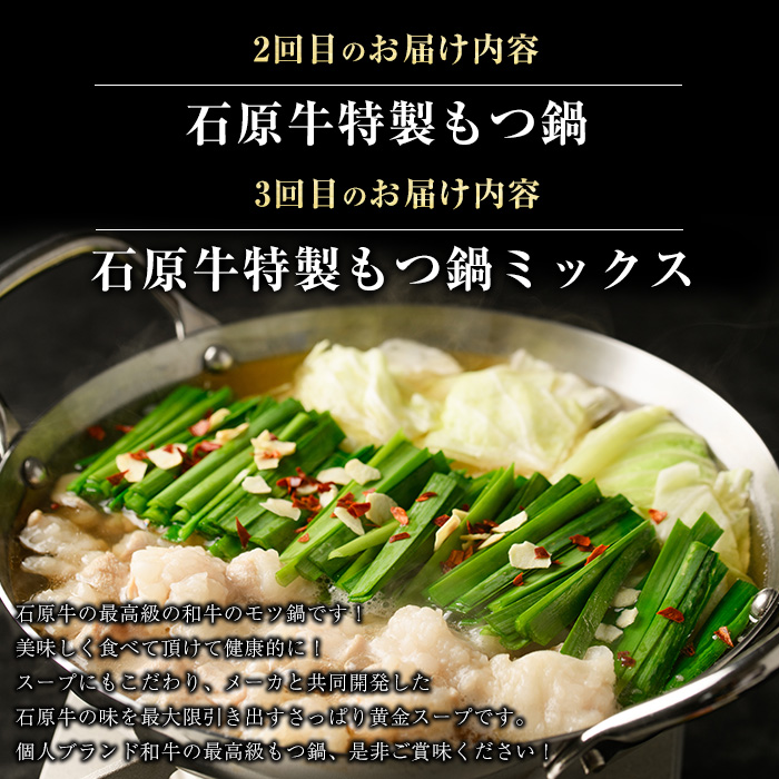 ＜定期便・毎月発送全3回＞ 石原牛の定期便【もつ食べ比べ編】 【石原PRO】_nagashima-1524