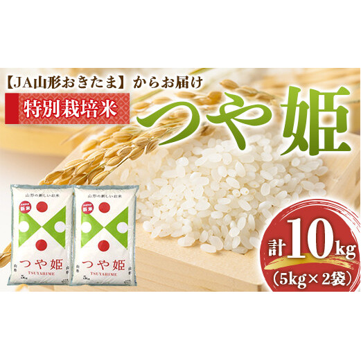 【令和7年産】 JA 特別栽培米 つや姫 10kg (5kg×2袋) 『JA山形おきたま』 山形置賜産 米 精米 山形県 南陽市 [639]