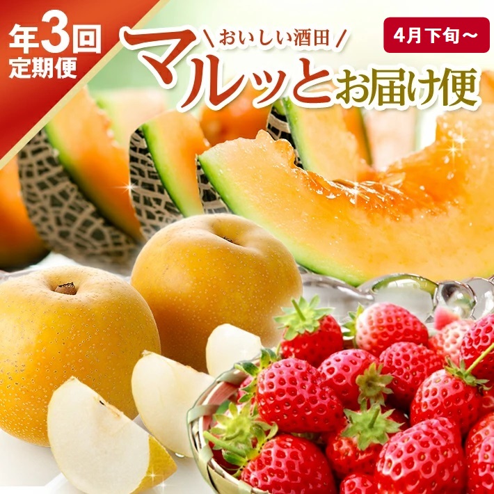 SE0485　【3回定期便】おいしい酒田 マルっとお届け便2026(2) 4月下旬～ (いちご、紅花メロン、刈屋梨)