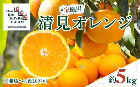 【先行予約】【家庭用】清見オレンジ 約5kg | 柑橘 みかん 果物 フルーツ 愛媛県産 農家直送　※離島への配送不可　※2026年3月中旬より順次発送予定 IKTAU010