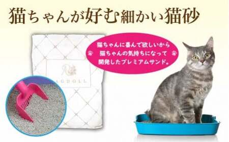 【12か月定期便】RAGDOLLプレミアムサンド5kg×2　【04301-0879】